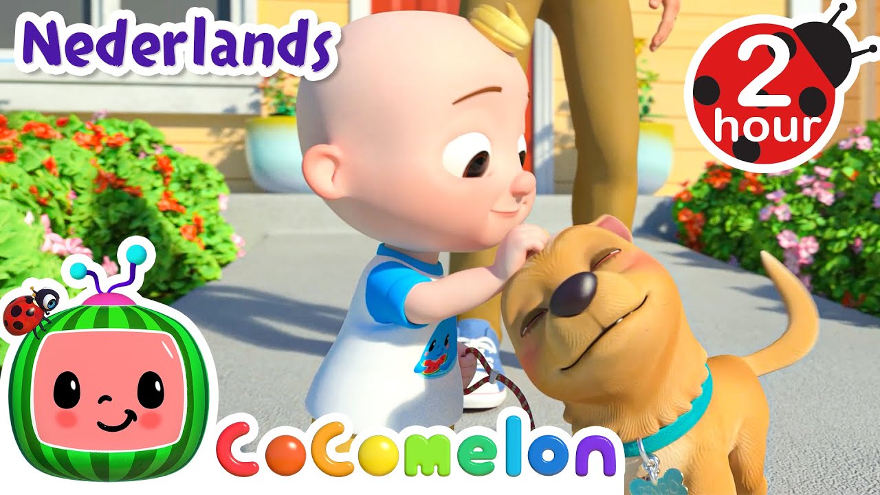 Een lied voor JJ | CoComelon Nederlands - Kinderliedjes