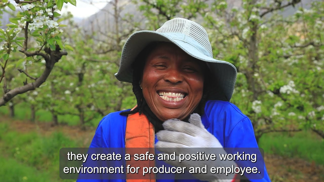 SIZA Member Testimonials—Koos Möller from Silwerstroom: SIZA is independent from audits & complaints
