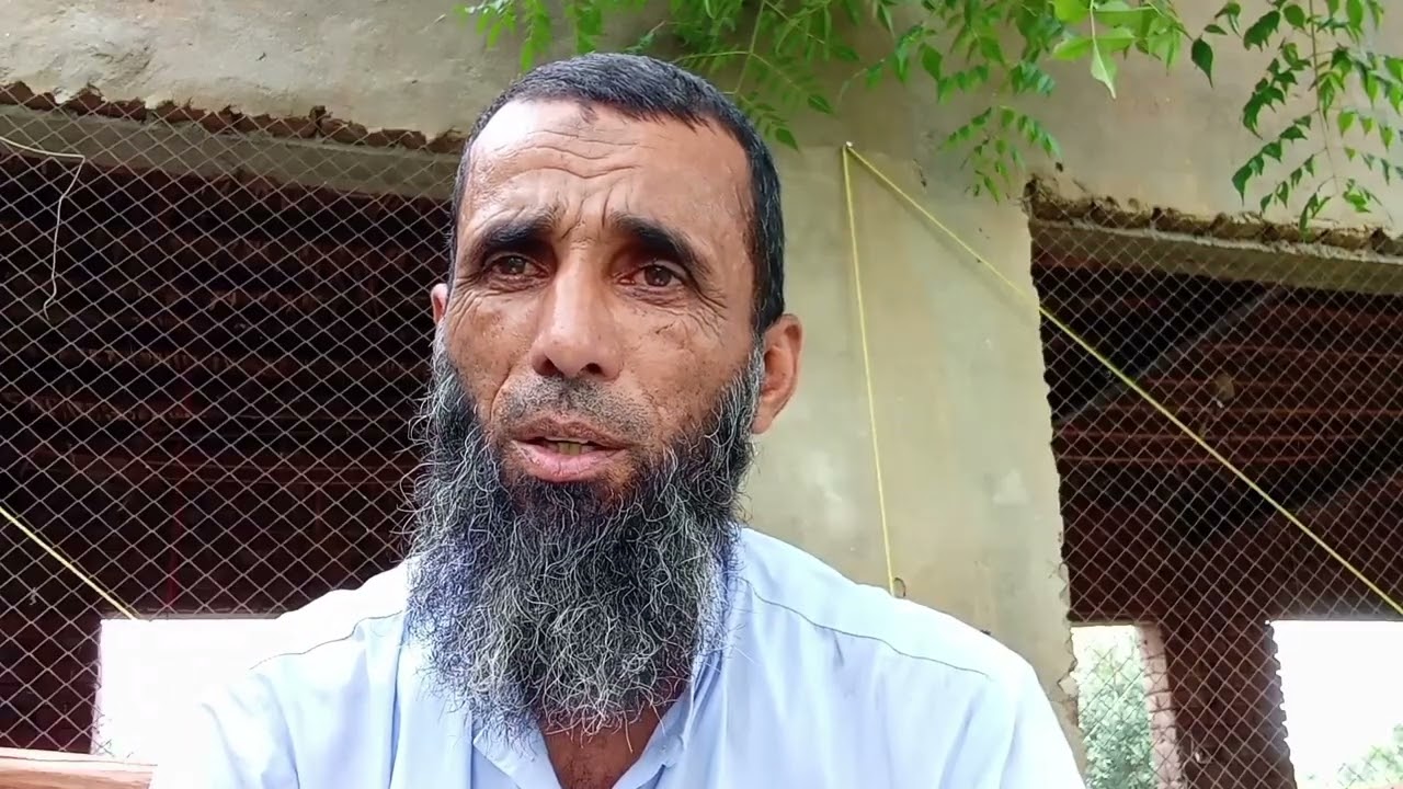 اوپن پولٹری فارم کے فاہدے اور نقصا ن