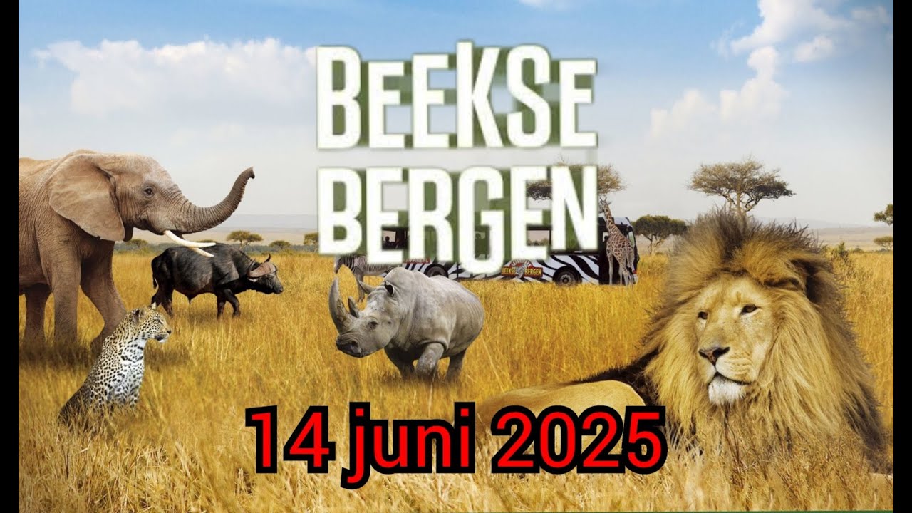 Een dagje Beekse Bergen🦍🦒🐘geweest 14/06/2025