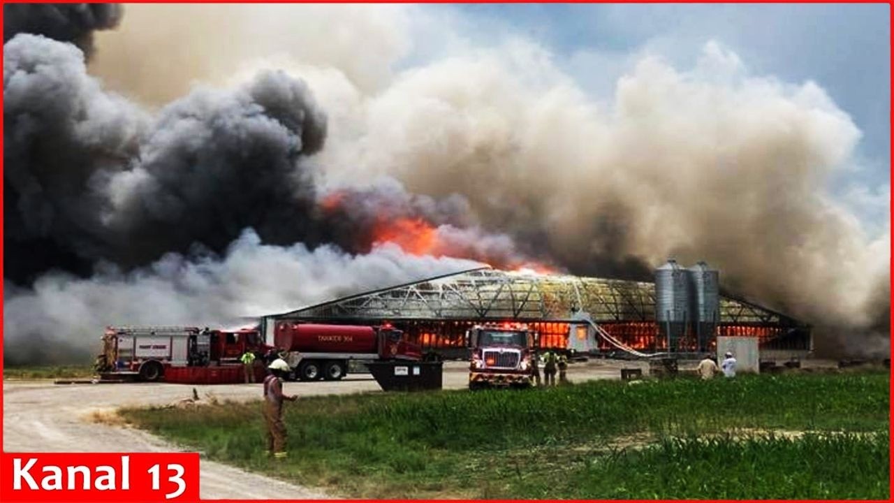 Authorities say fire on Ohio farm killed about 6,000 hogs