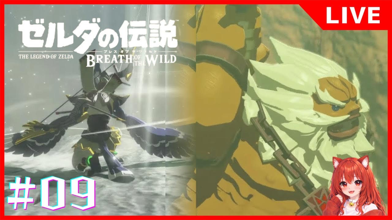 【ゼルダの伝説 ブレス オブ ザ ワイルド】3年半ぶりにこの神ゲーに戻ってきた #9