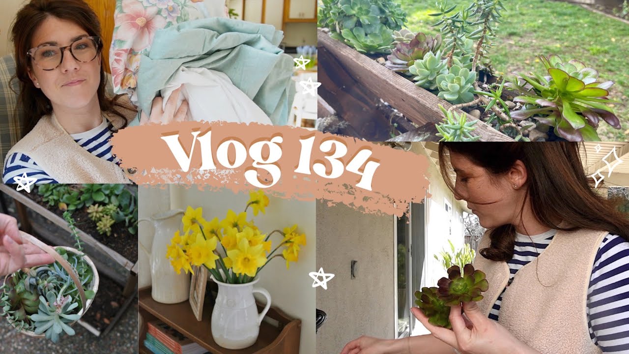 VLOG 134 - bouturage succulentes & un peu d’achat 2nde main