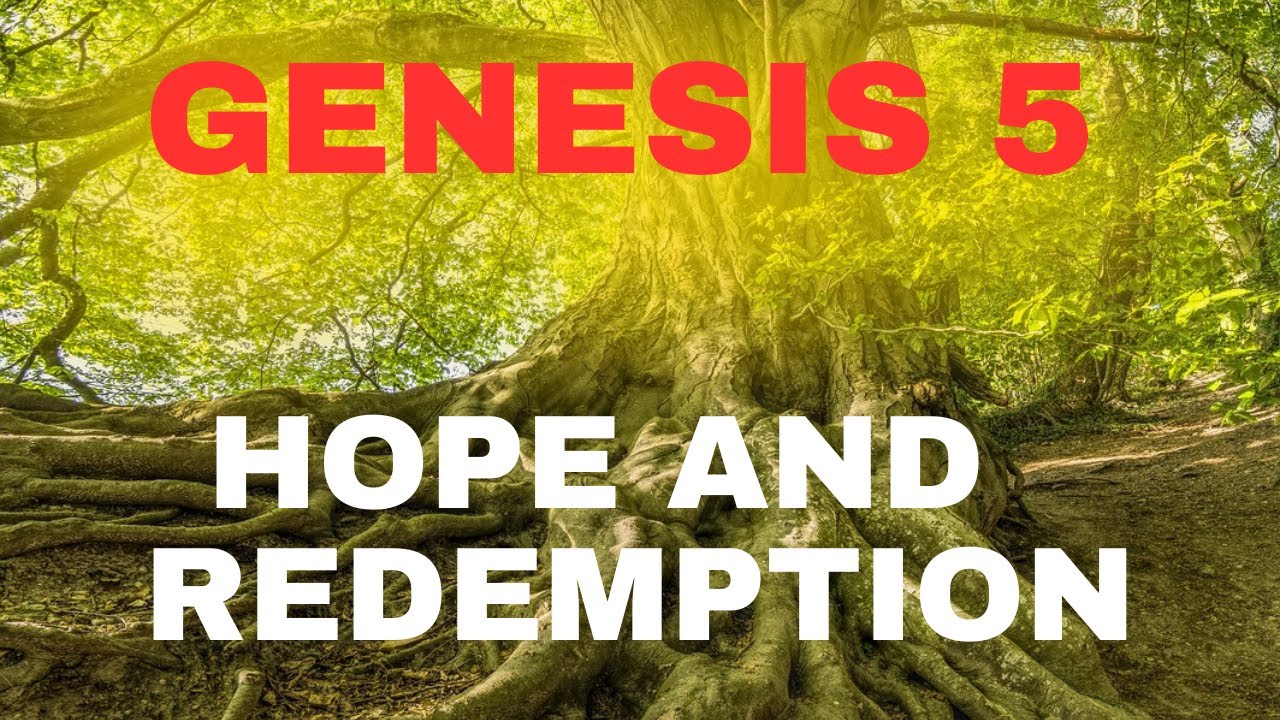 Genesis 5 Explained: The Genealogy of Adam and God&rsquo;s Faithfulness | Bible Study