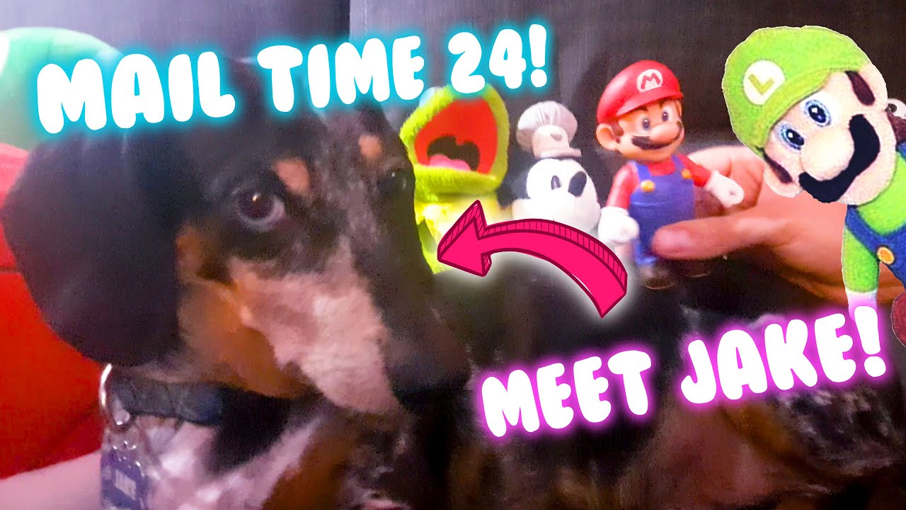 Mail Time! Ft. Jake the Sausage - MAIL TIME! Episode 24! - Cute Mario Bros.