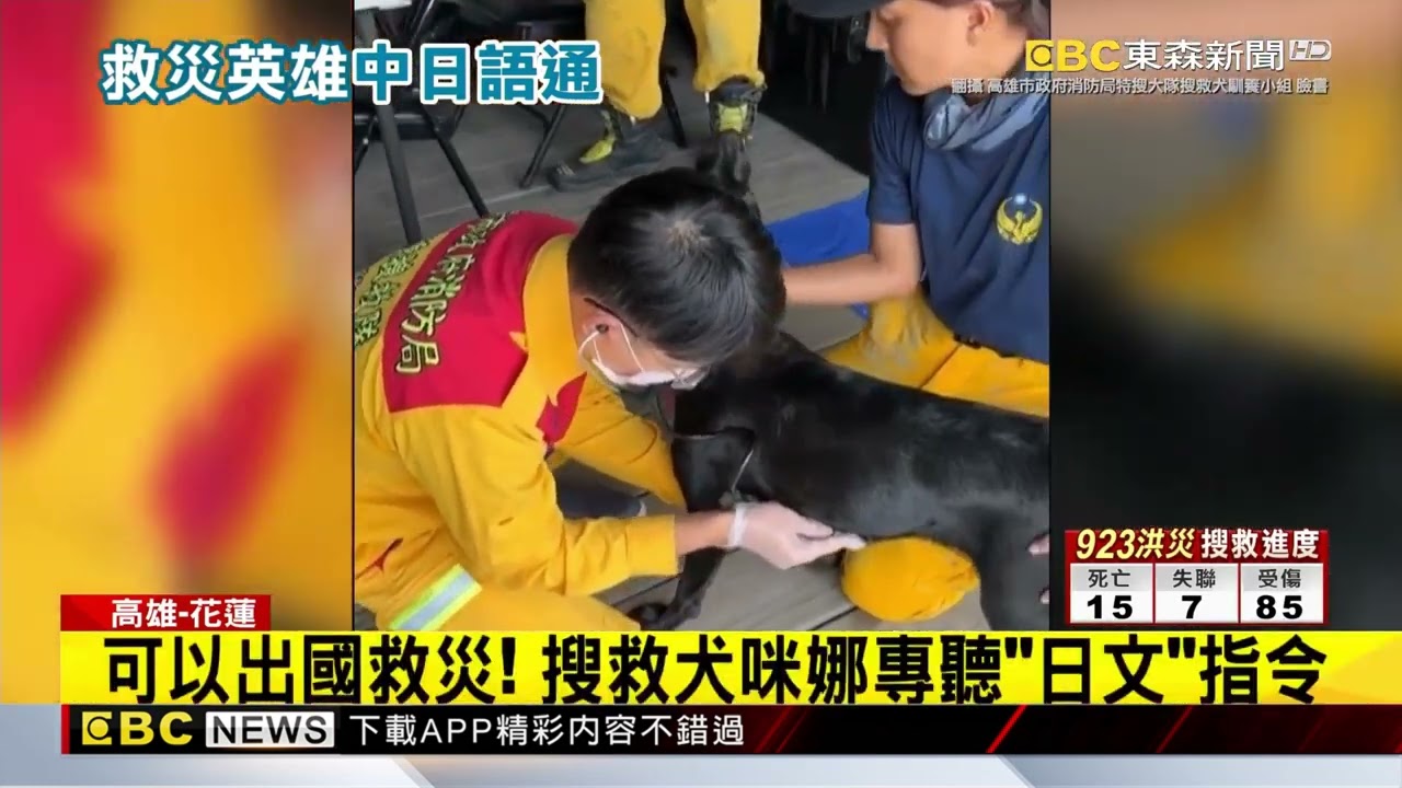 聽日文的搜救犬！「咪娜」花蓮救災 不熟地形陷泥沼@newsebc