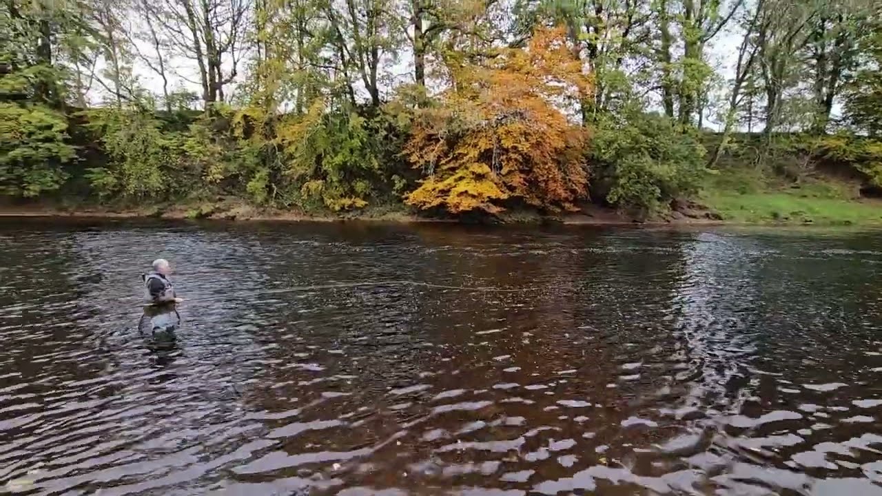Border Esk (Canonbie) The Mill Pool