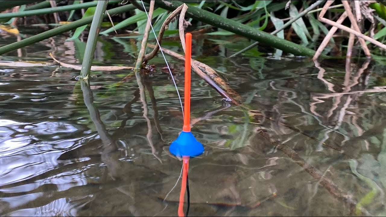 Pecanje Klena na VISNJU - Chub,Cavedano float fishing - Nisava