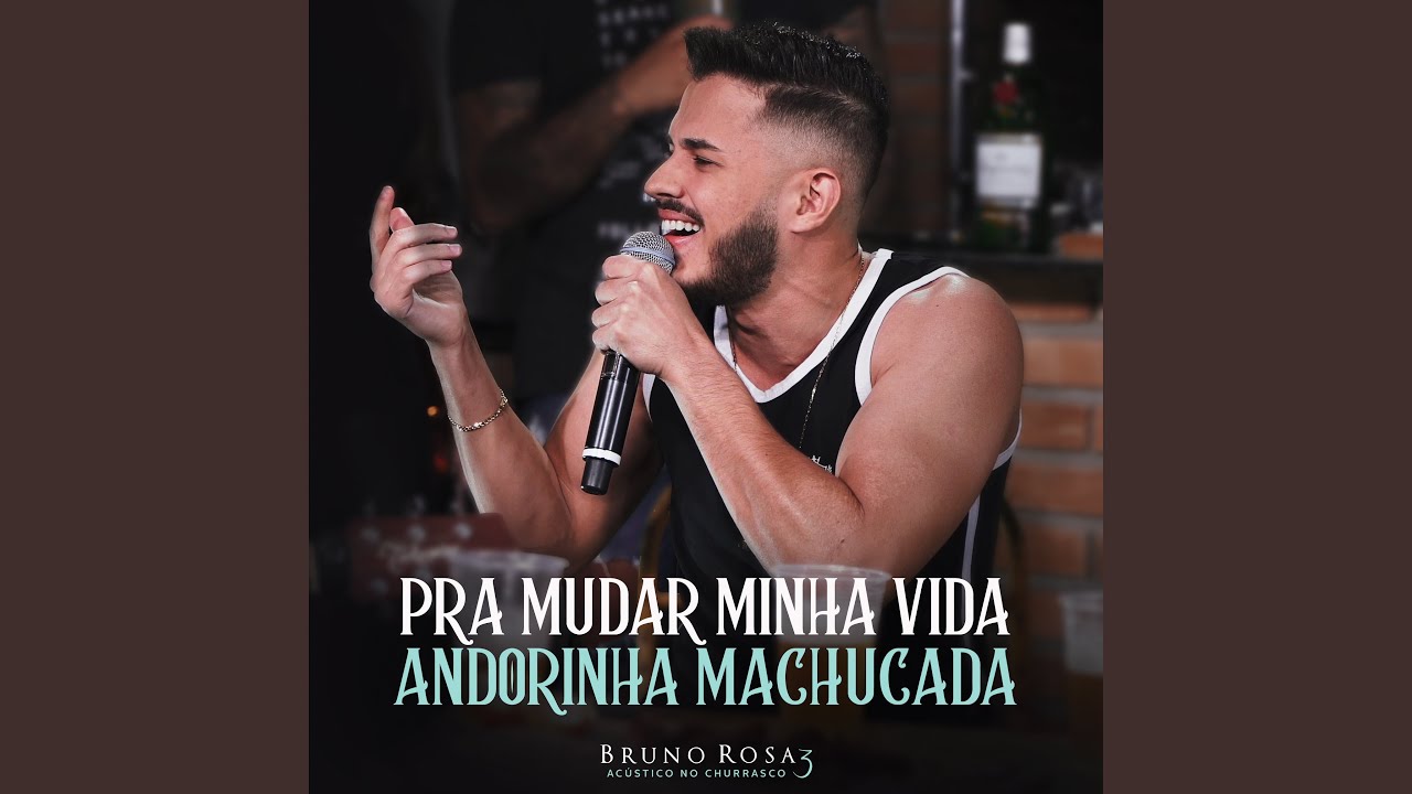 Pra Mudar Minha Vida / Andorinha Machucada (Acústico no Churrasco 3)