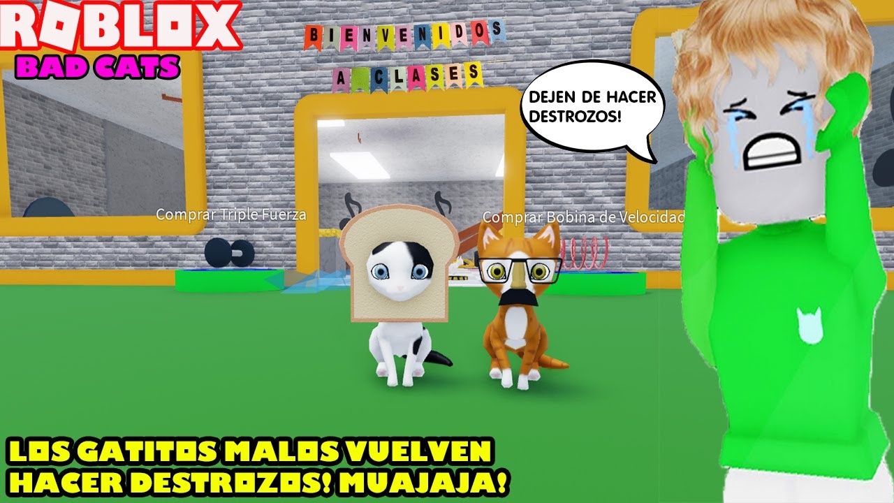 Los Gatitos Malos Vuelven Hacer Destrozos En Los Parque y Escuelas! jeje! 😈Bad Cats