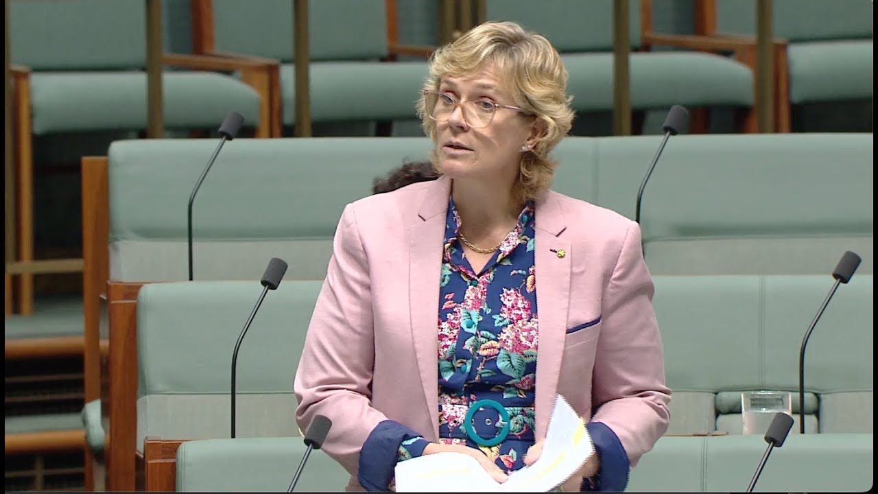 Zali Steggall MP moves an amendment to improve gun laws