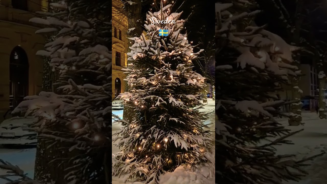Шведская 