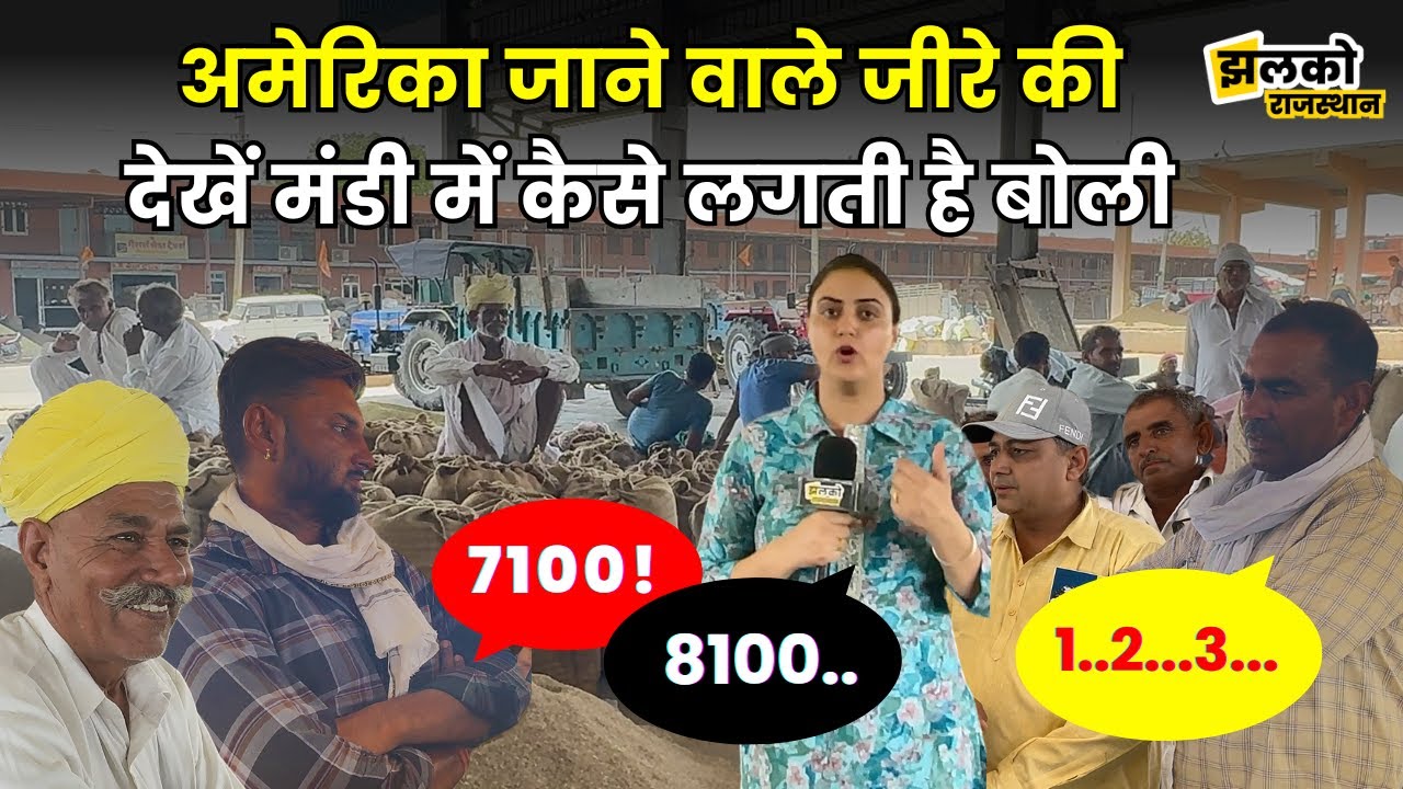 राजस्थान की मेड़ता मंडी की फसल का लोग अमेरिका में करते हैं नाश्ता, देखें कैसे लगती है बोली ~