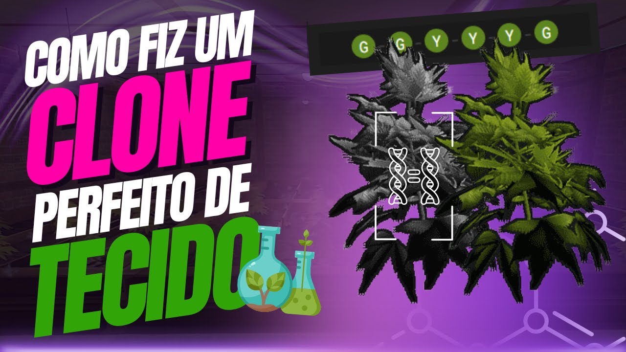 GUIA F&Aacute;CIL: CLONE PERFEITO DE TECIDO EM 5 MIN - Rust