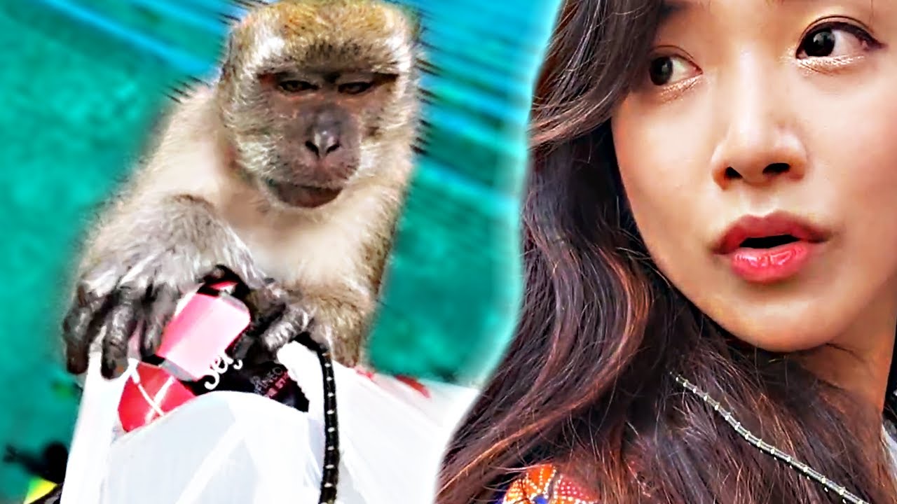 I GOT ROBBED BY MONKEYS