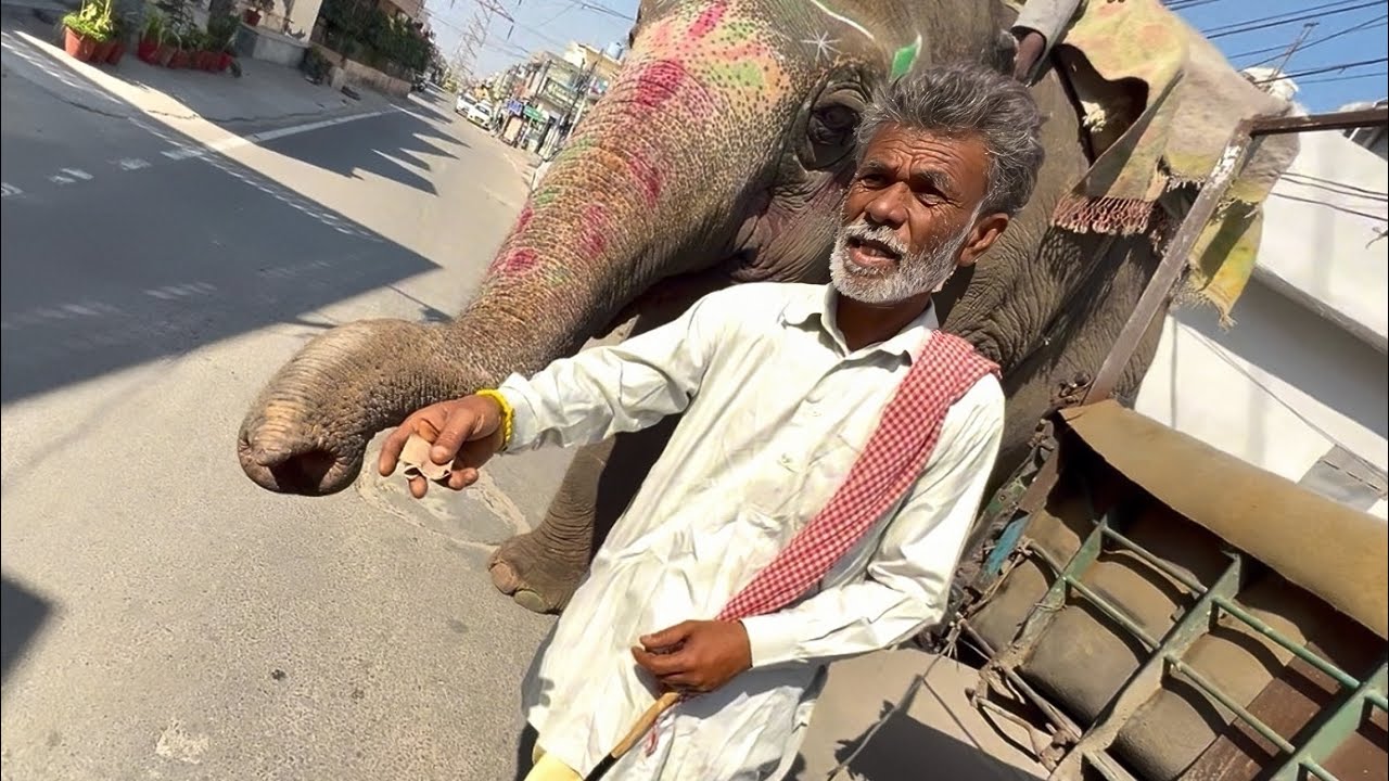 Ajj hathi ke niche se nilkle 😅😅