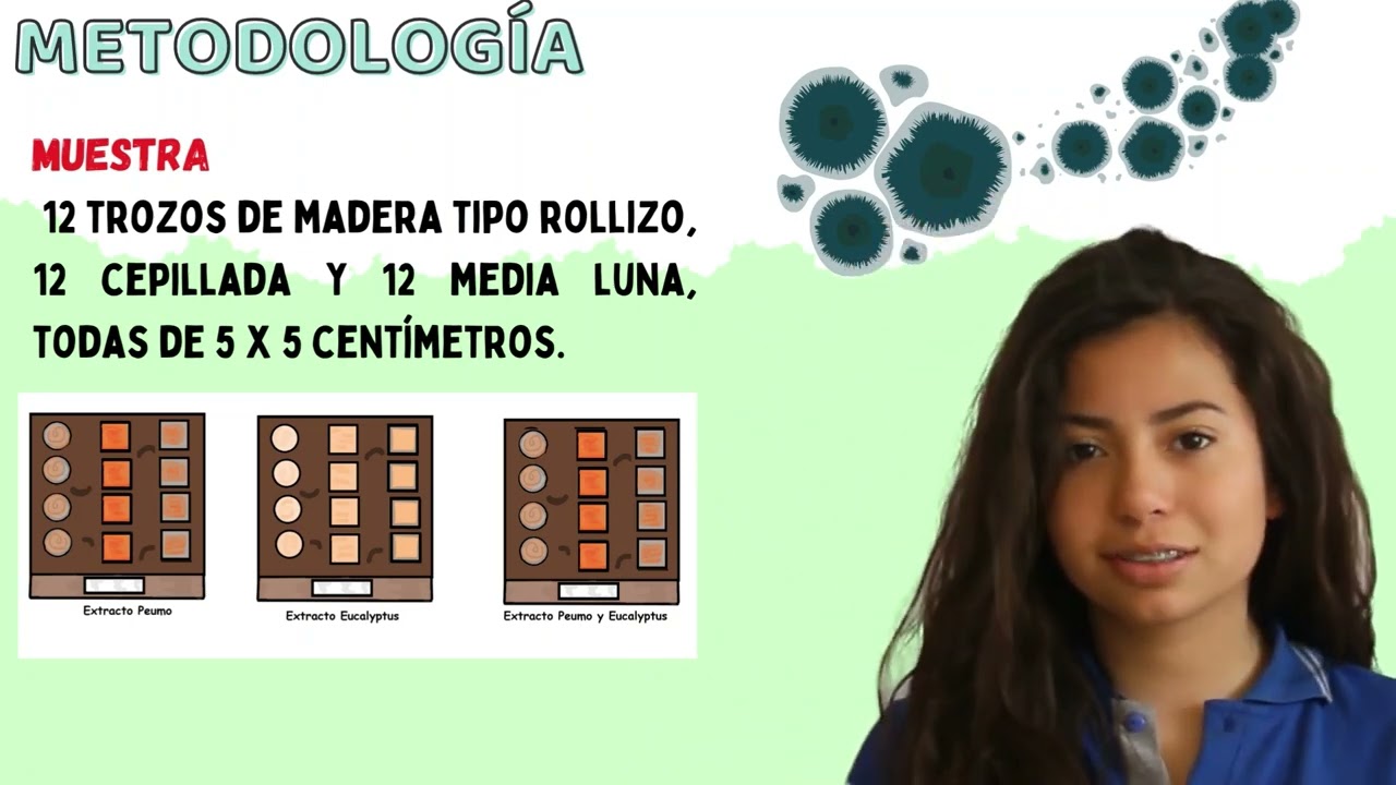 Determinación del efecto de extractos de hojas- Colegio Héroes de Chile, Limache