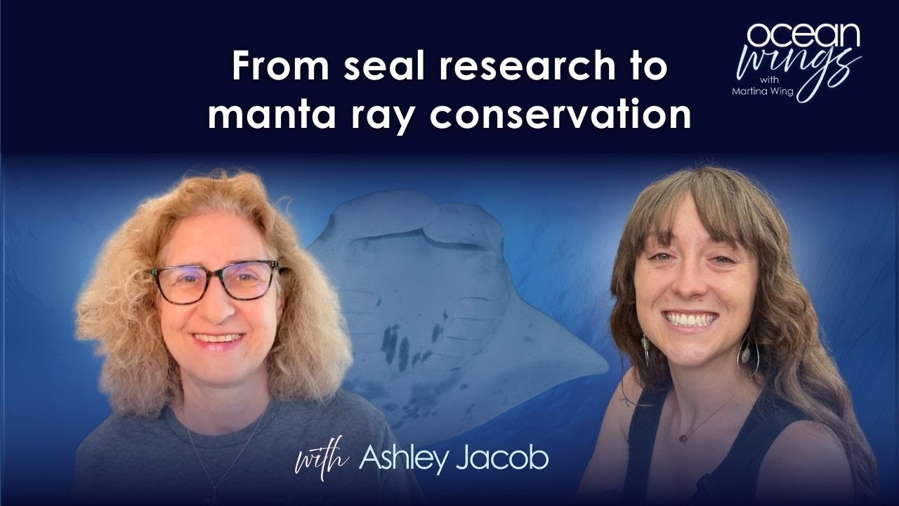 A marine biologist's journey from California seals to Hawaii's manta rays, with Ashley Jacob