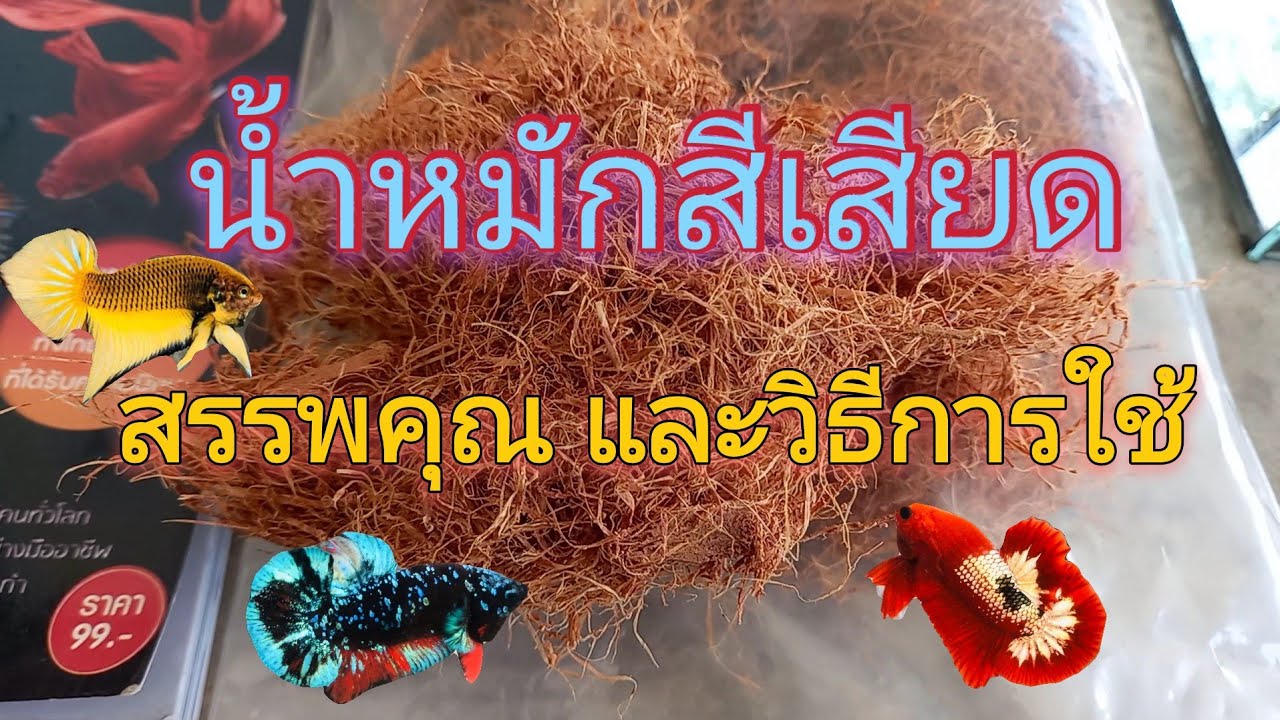 น้ำหมักสีเสียด วิธีทำและการนำไปใช้