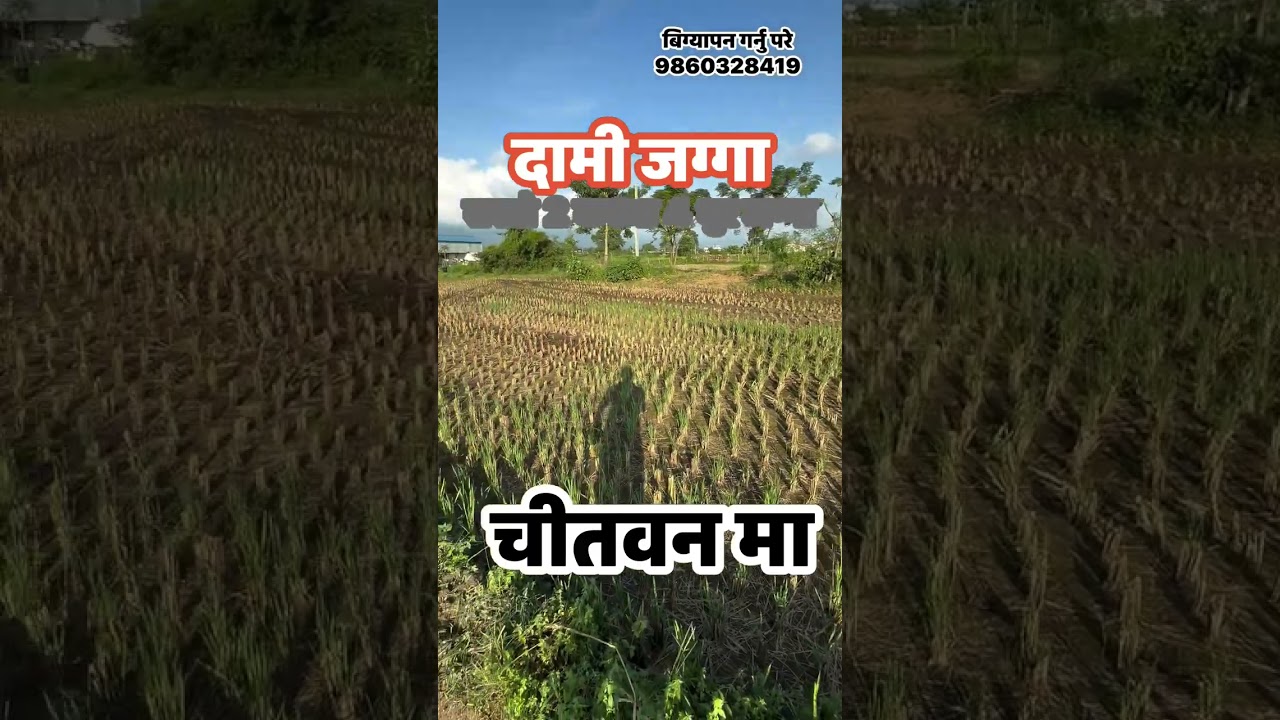 land on sale in chitwan nepal. #ghar_jagga_chitwan #real_estate_chitwan #best_property #real_estate