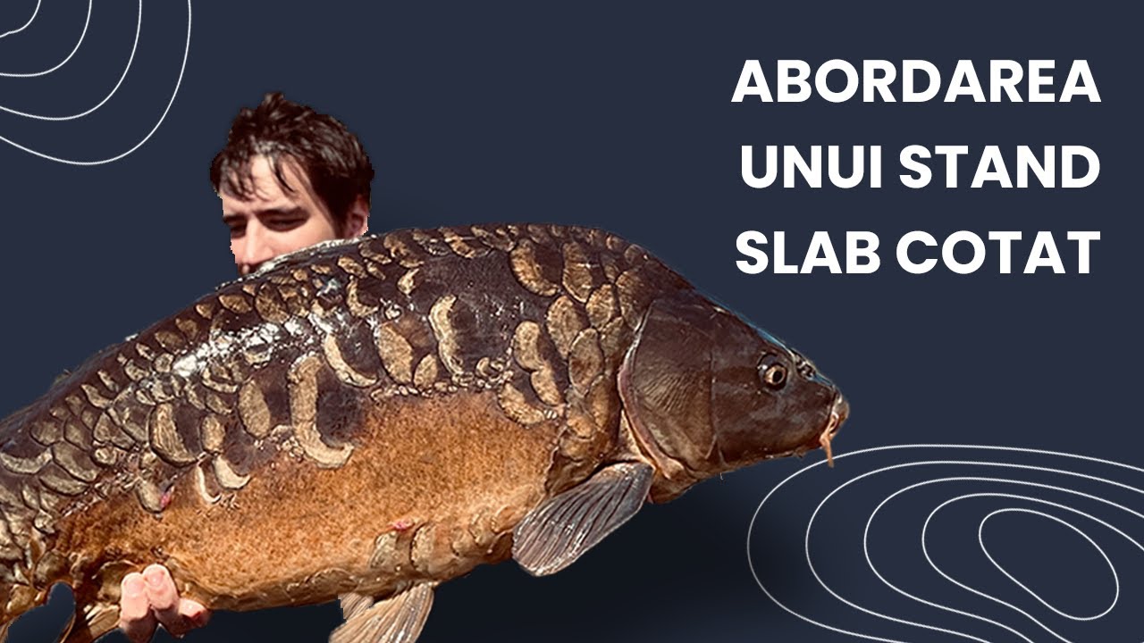 Strategii in pescuitul la crap pentru abordarea unul stand slab cotat - Lacul Tancabesti, Ponton 3