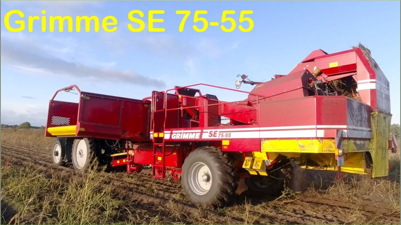 Grimme SE 75-55 | Single row potato harvester