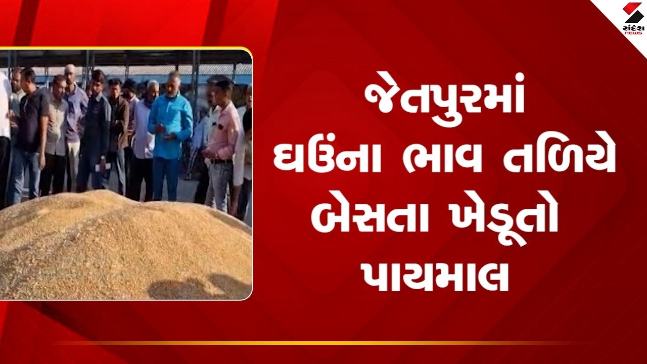 Jetpur | જેતપુરમાં ઘઉંના ભાવ તળિયે બેસતા ખેડૂતો પાયમાલ | Wheat Prices | Farmer Concerns