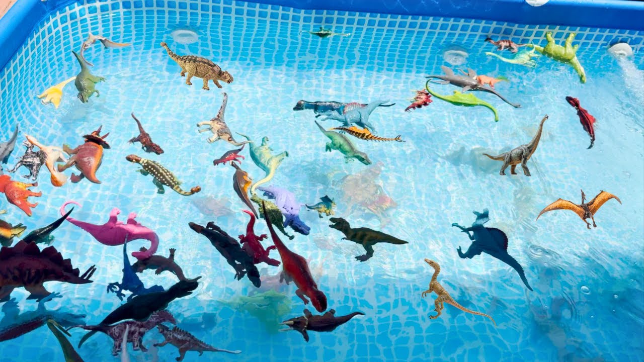 Dinosaurs Pool Edition! Lots of Dinosaurs In Water!@AngelandAaronPlay