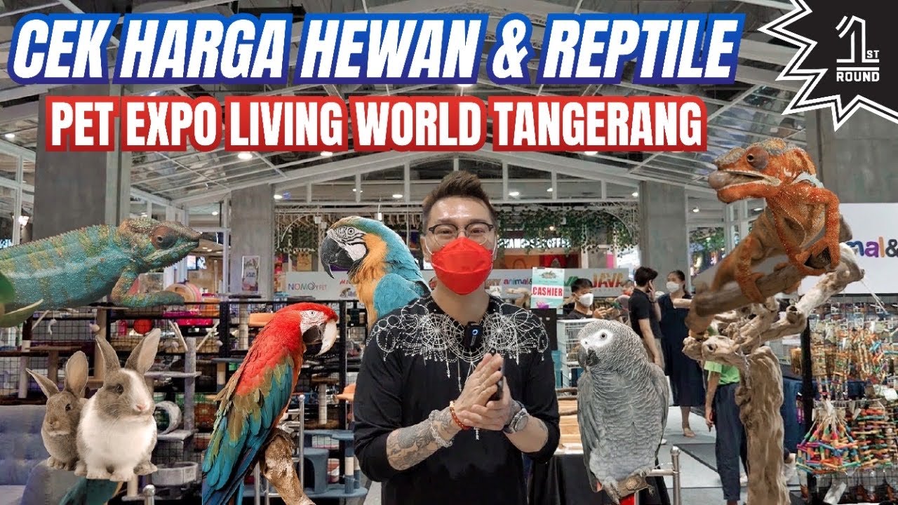 Cek Harga Hewan & Reptile di Pet Expo Living World Tangerang! Ada Iguana, Ular, Katak, Kelinci DLL!