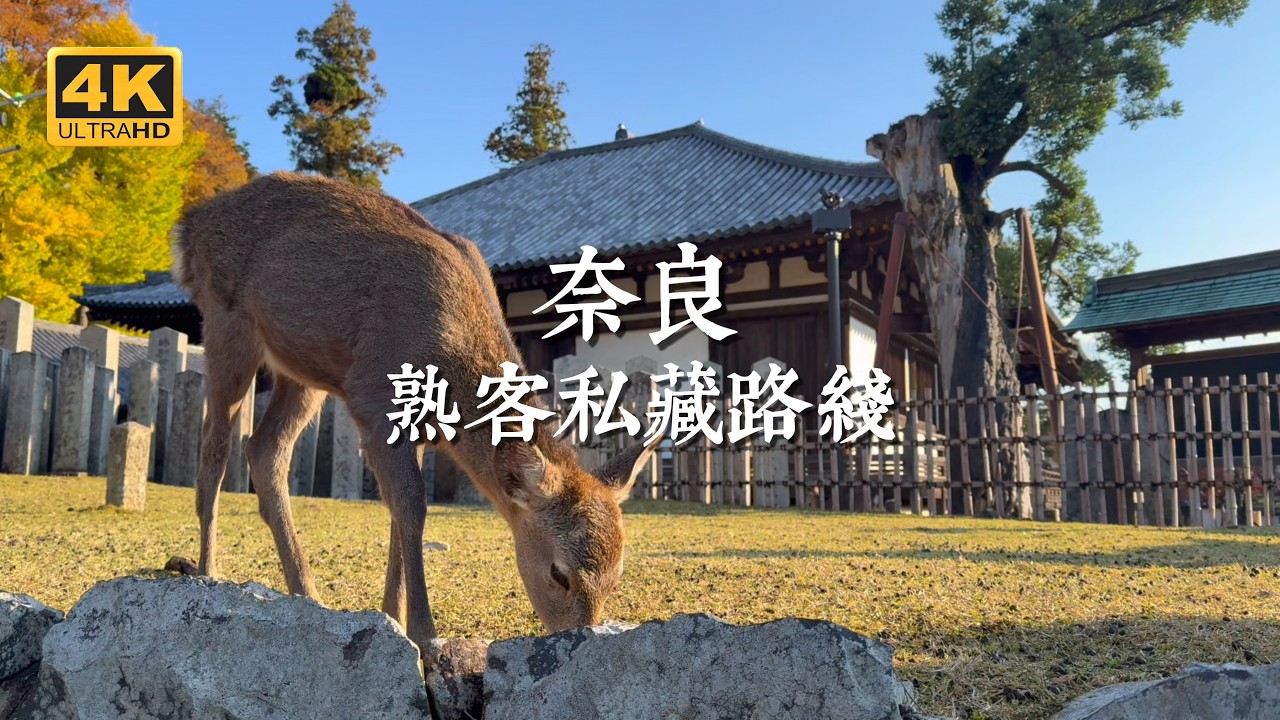 【日本一人旅 EP14】奈良市區小眾路線！熟客玩家私藏的高品質景點｜吉城園、依水園、志賀直哉舊居、舊大乘院庭園、二月堂、若草咖喱