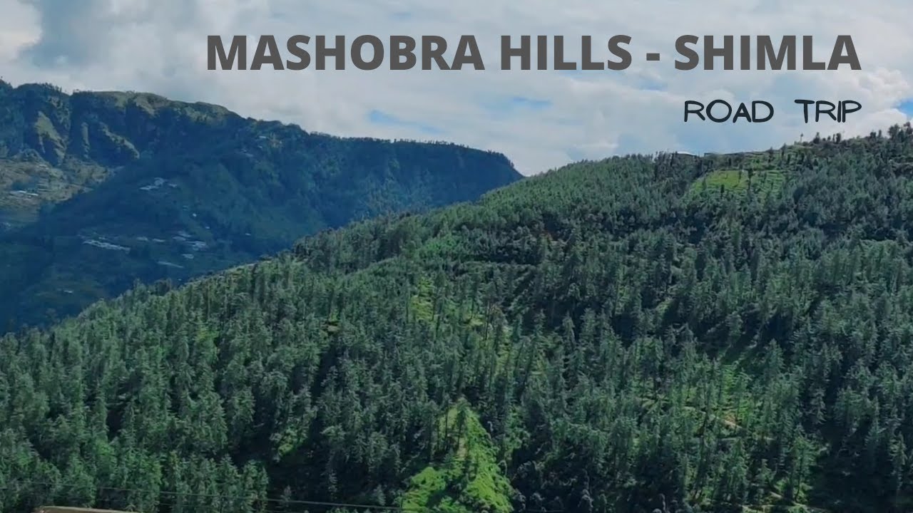 Mashobra Hills - An Adventurous Route To Travel | Shimla | Himachal Pradesh
