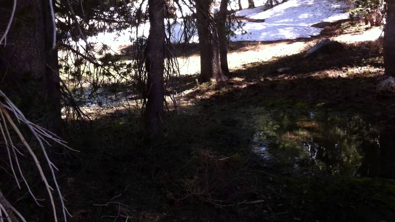 Outdoor Diary 1: Kaiser Wilderness
