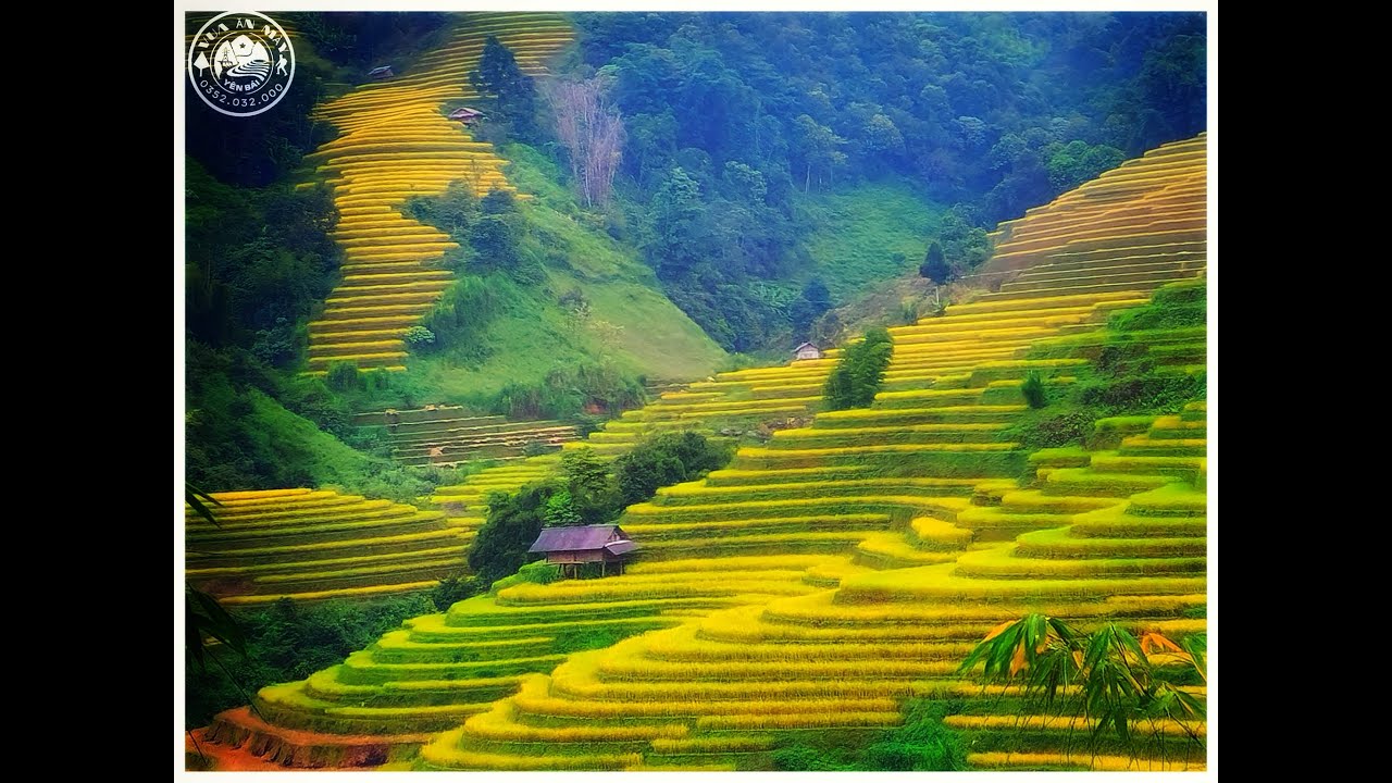 Mù Cang Chải, un joyau caché au cœur des montagnes du Vietnam