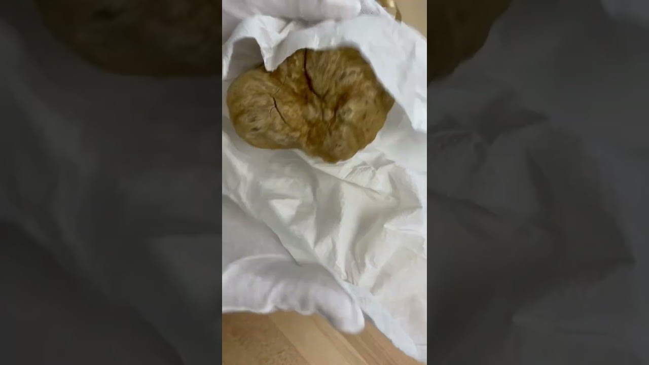 White Truffles - Gourmet Attitude