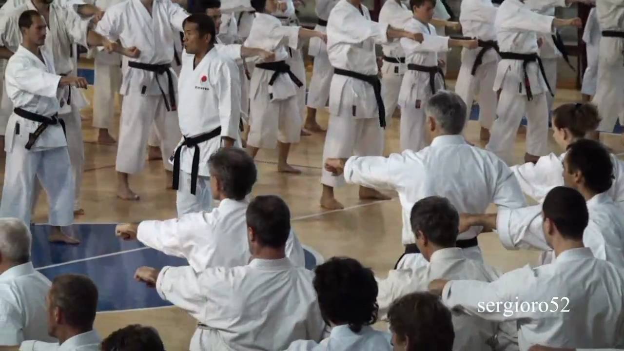 Stage NAITO Sensei-KURIHARA Sensei-2010-part 1 of 6 (HD)