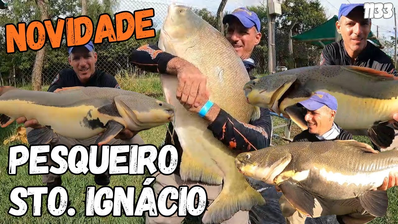 NOVIDADE - FISHINGTUR NO PESQUEIRO SANTO IGNÁCIO - PROGRAMA 1133