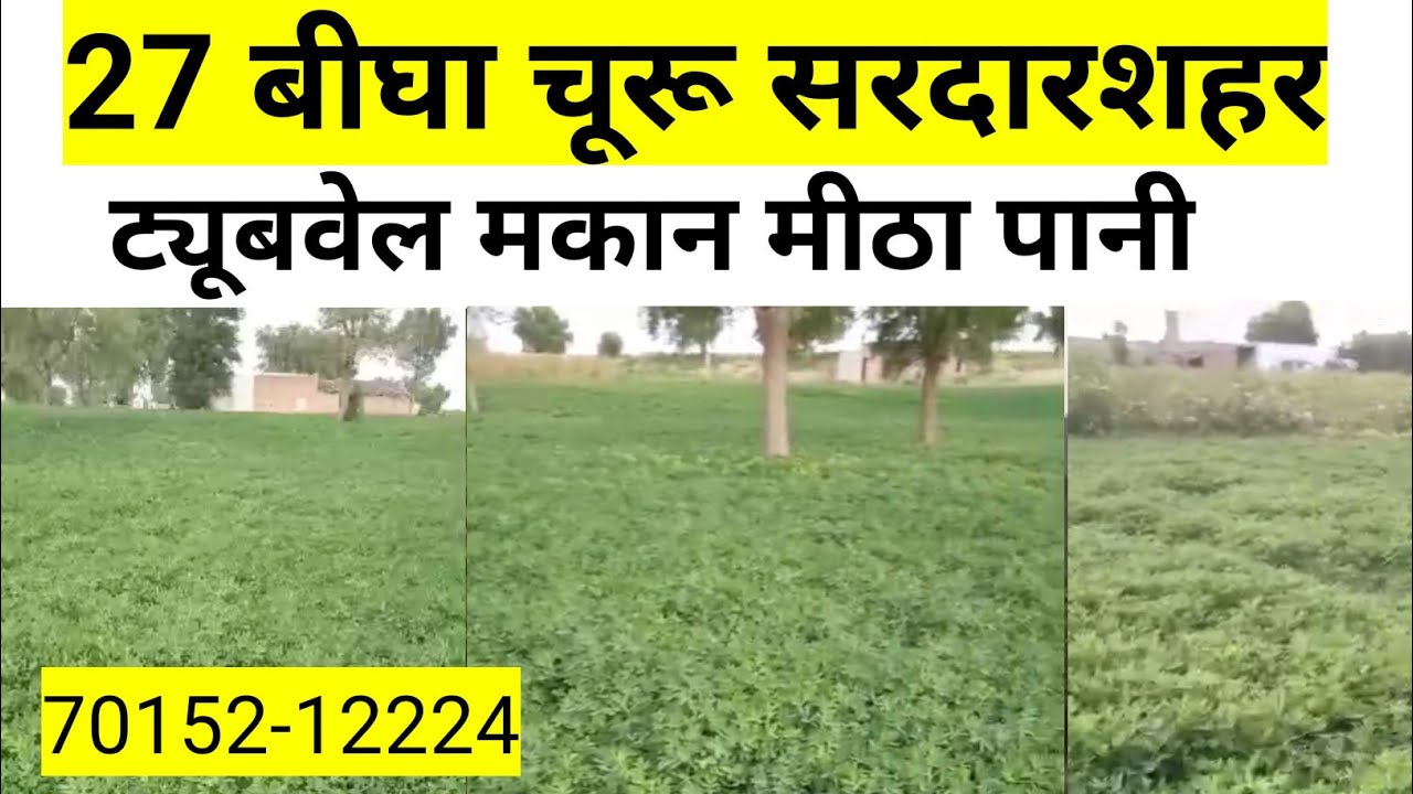 चूरू सरदारशहर की 27 बीघा जमीन बिकाऊ। Sardarshahr ki bikau jameen| churu ki bikau jameen|