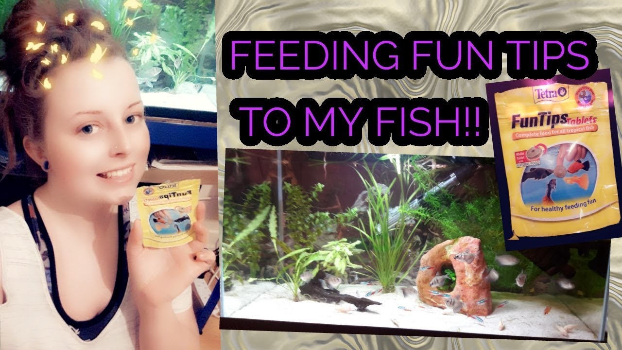 FEEDING FUN TIPS TABLETS TO MY FISH!!