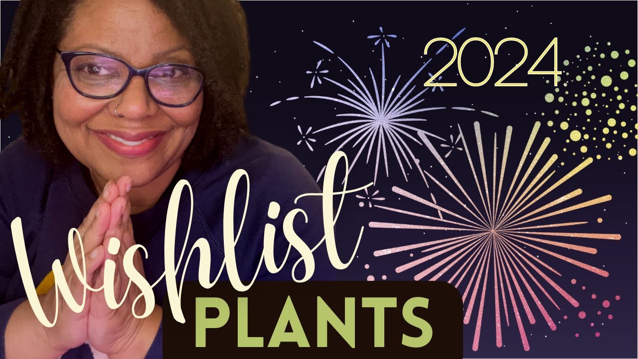 2024 Houseplant Wishlist