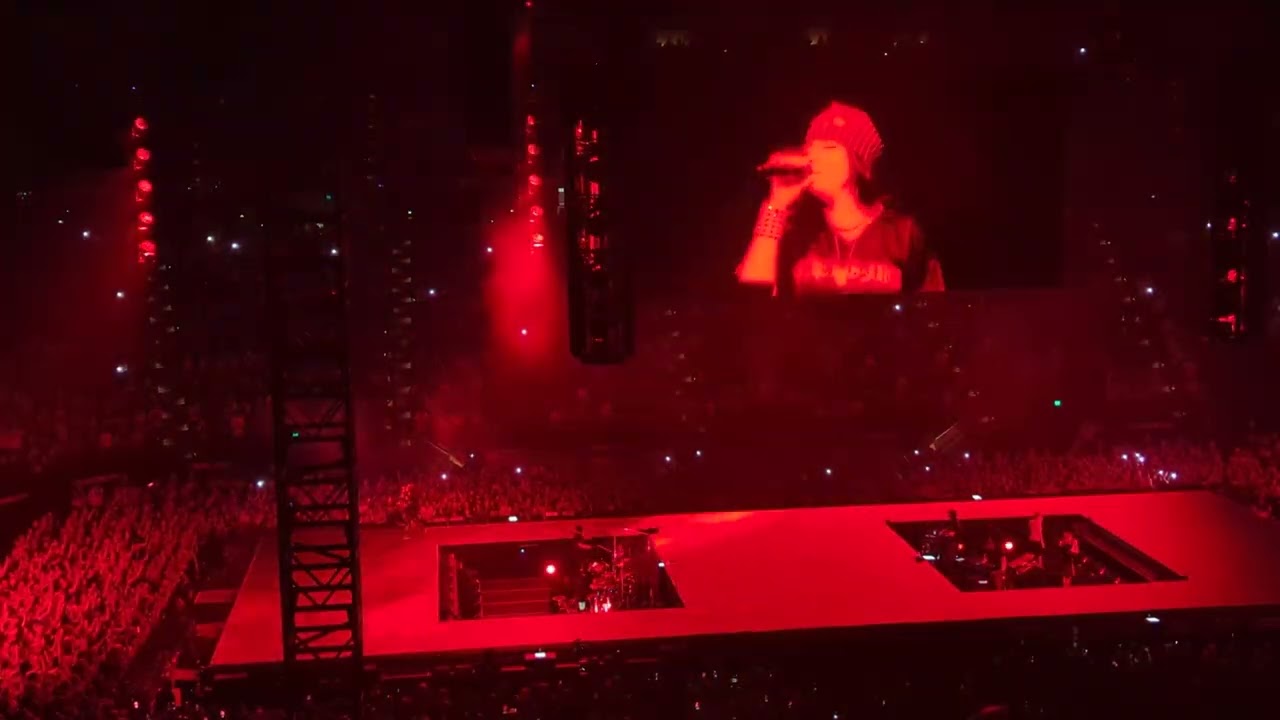 Billie Eilish - THE DINER Live 2025 Melbourne