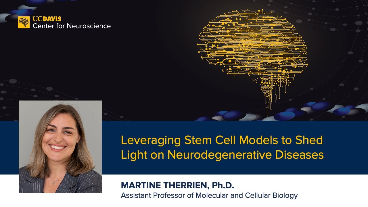 Leveraging Stem Cell Models to Shed Light on Neurodegenerative Diseases