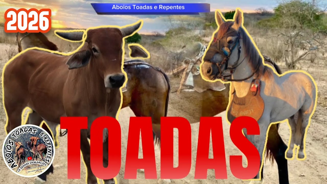 Toadas de Vaquejada As Melhores Cavalo Vaqueiro & Boi - Aboios Toadas e Repentes 