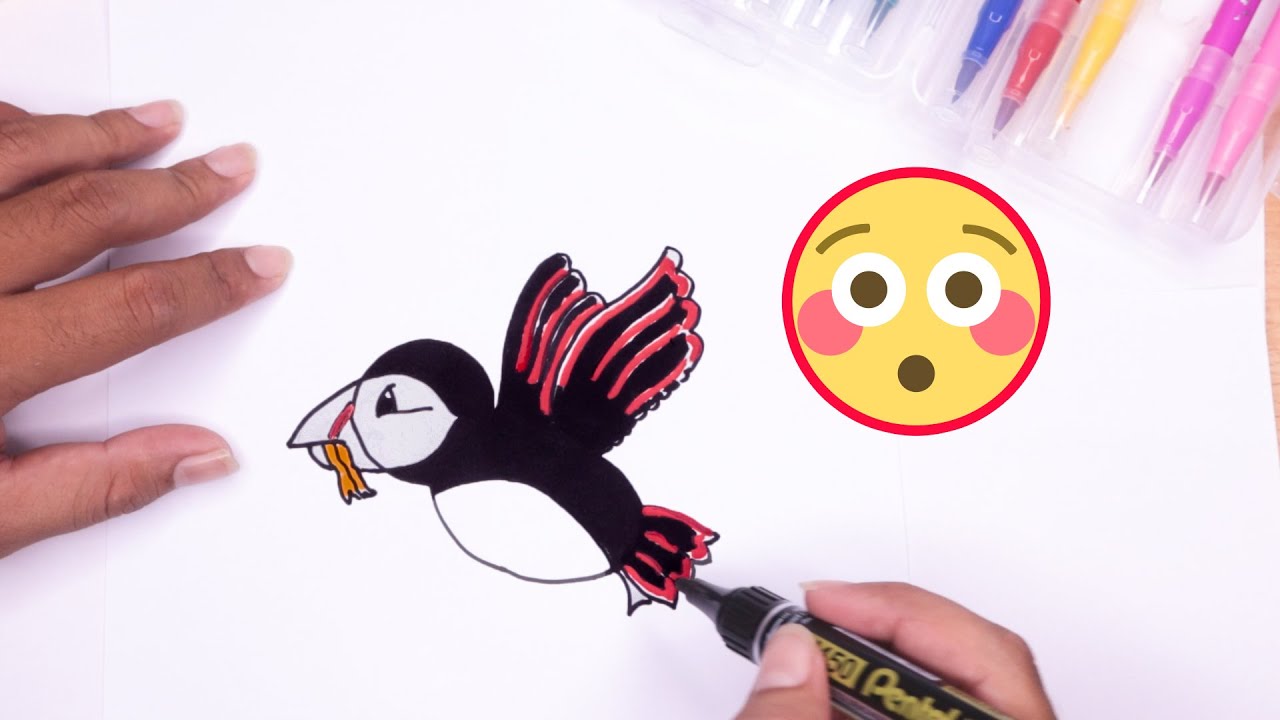 How to Draw a Puffin [Cute Drawings Daily]