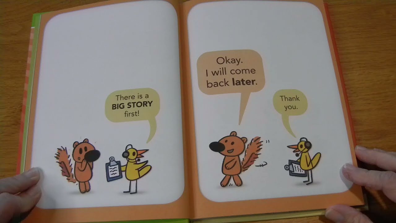 The FRUSTRATING Book!
