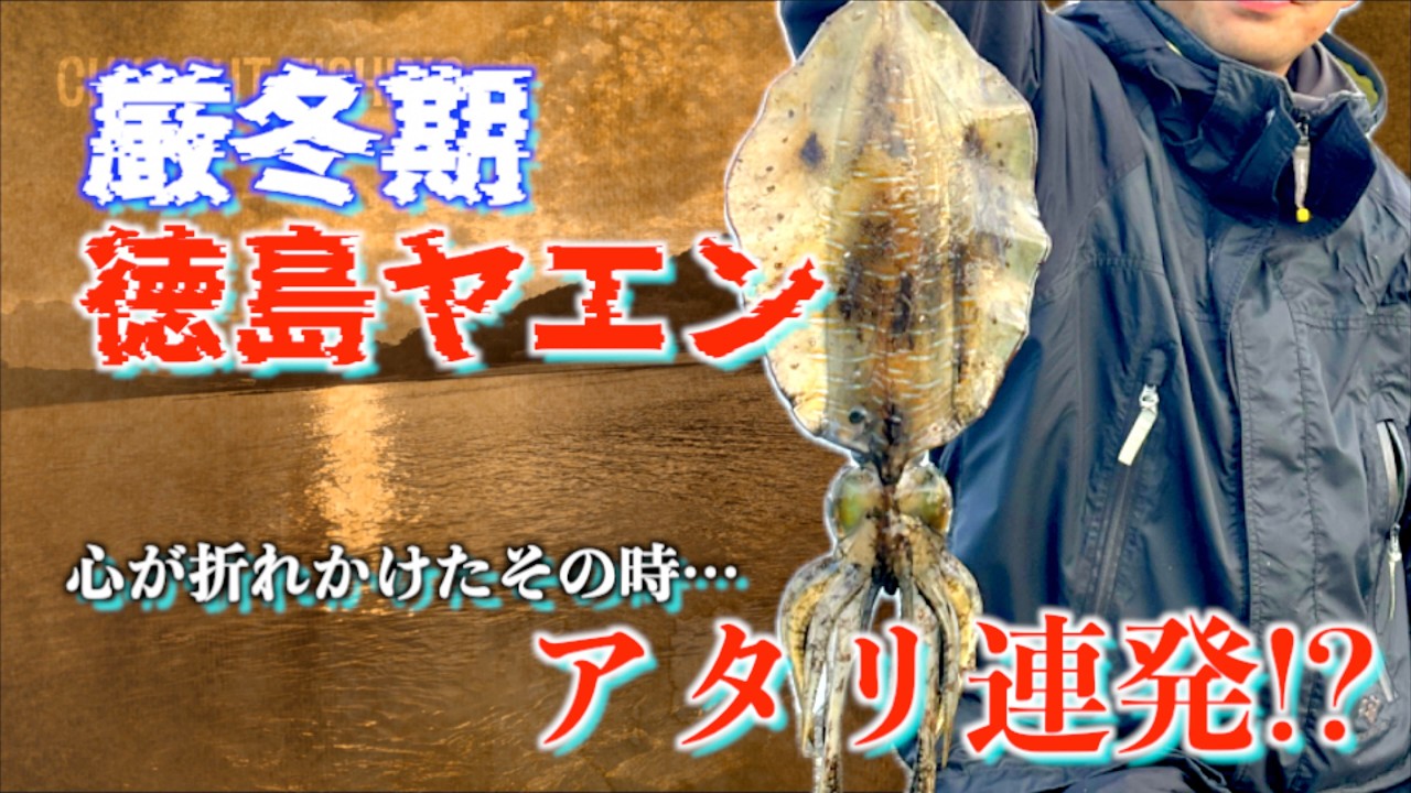 【徳島ヤエン】厳冬期2月の絶望から一転。ドラマは最後の最後に待っていた…
