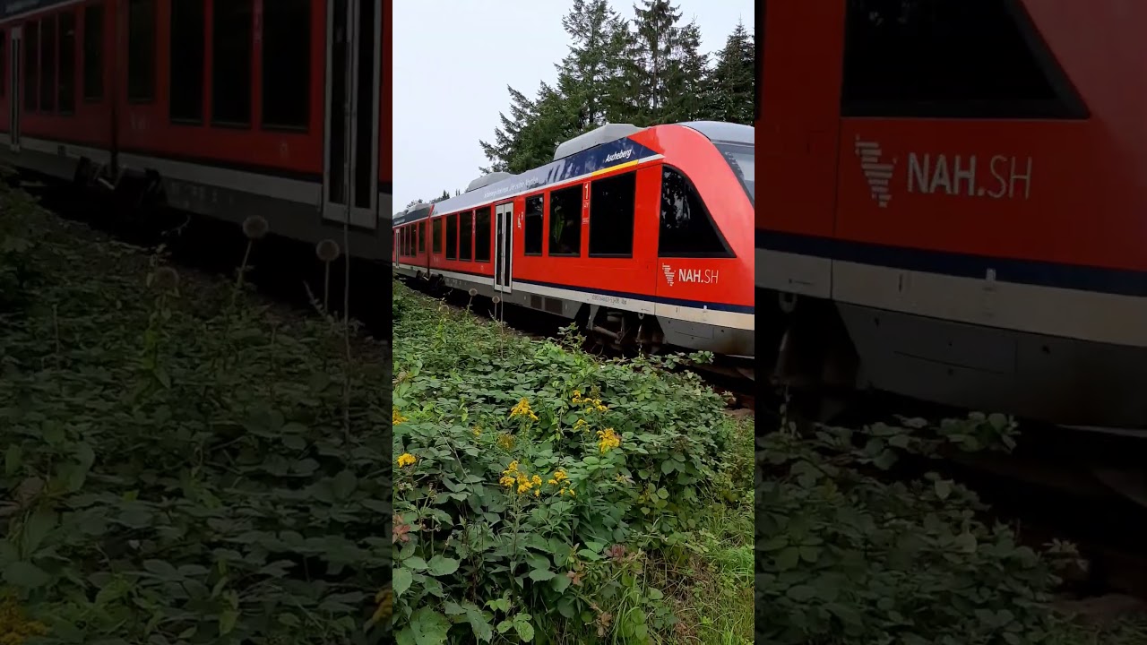 🚆 Triebwagen Lint DB 648 831-5 'Ascheberg' f&auml;hrt als erx RB 84 am B&uuml; Segeberger L. Richtung L&uuml;beck