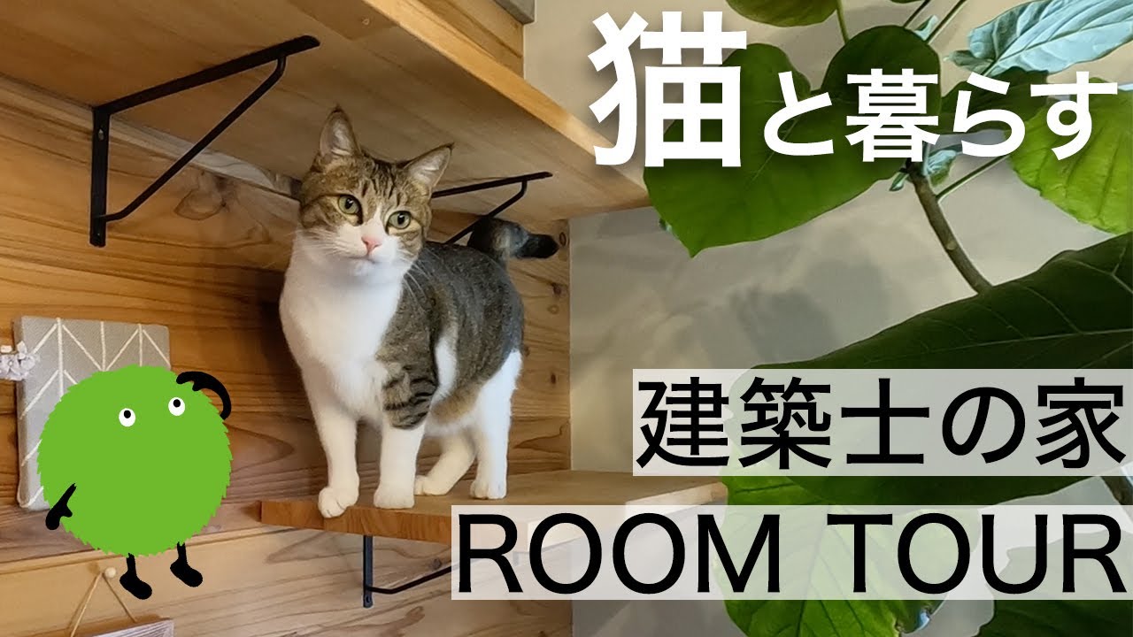 【ルームツアー】猫と暮らす建築士のリノベマンション（2LDK・キャットタワー付き）|【公式】SUUMO（スーモ）