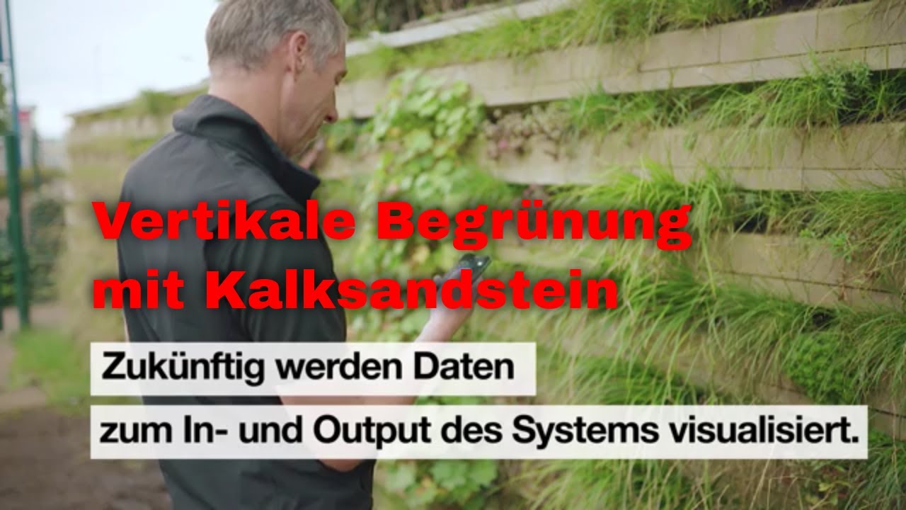 Vertikale Begrünung: Mikroklima verbessern und Feinstaub reduzieren