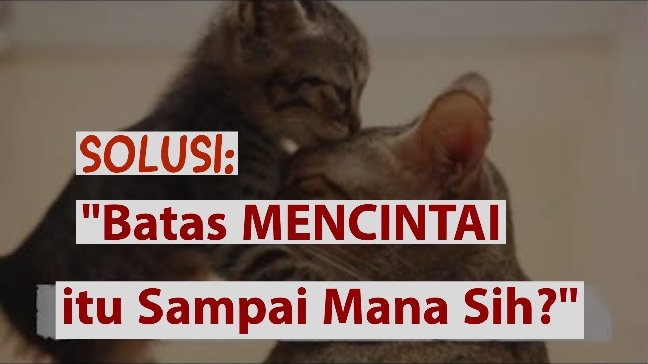 Motivasi Hidup & Cinta - BATAS MENCINTAI ITU SAMPAI MANA?