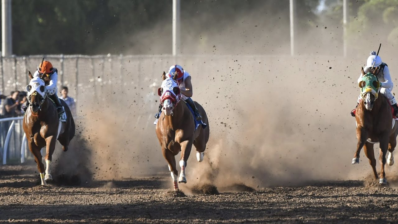 El Payaso SEGUNDA CORONA 👑 C. San Rafael. Fresno Hipodromo, SIN.